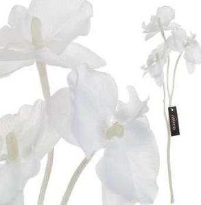 Aluro Roślina szt. - gałązka białej orchidei_Aluro 1