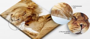 Artgeist Obraz - Berlin, Niemcy : Kolor - czarno-białe FOTO, Rozmiar - 135 x 45 5