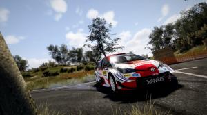 WRC 10 FIA World Rally Championship PS4 3