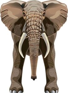 Brainstorm Latawiec BRAINSTORM - WNS SkyZoo 40x30" Nylon Elephant 1