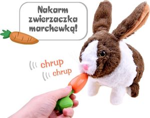 Jokomisiada Interaktywny zwierzaczek chrupaczek Królik ZA2685 4