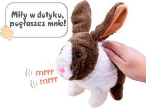 Jokomisiada Interaktywny zwierzaczek chrupaczek Królik ZA2685 5