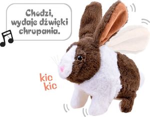 Jokomisiada Interaktywny zwierzaczek chrupaczek Królik ZA2685 6