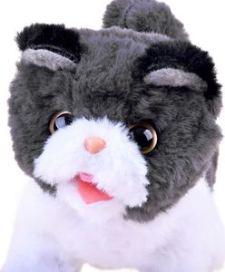 Jokomisiada Interaktywny kotek (ZA3850) 5