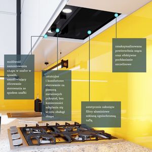 Okap Globalo Floweri 60.1 9