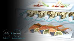 Lodówka LG GBB60NSYFE 18