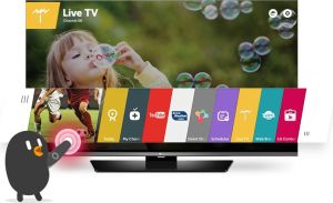 Telewizor LG LED Full HD webOS 2.0 13