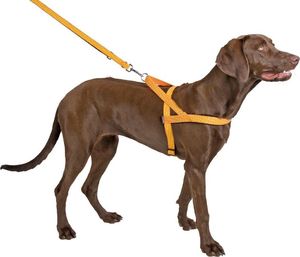 Kerbl KERBL Szelki odblaskowe Norwegian, 52 cm 2