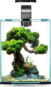 Aquael Zestaw Shrimp Set Day & Night [30l] - czarny 2