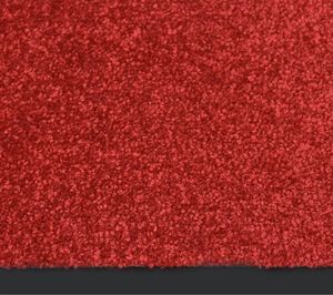 vidaXL Wycieraczka, czerwona, 60x80 cm 3