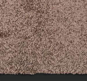 vidaXL Wycieraczka, brązowa, 60x80 cm 3