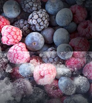 Lodówka Samsung RB37J5010SA 18