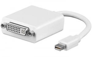 Adapter AV MicroConnect DisplayPort Mini - DVI-I biały (MDPDVI) 1