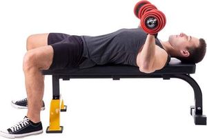 L8012 ŁAWKA DO ĆWICZEŃ HMS PREMIUM 4