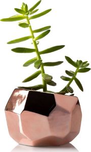 HowHomely Doniczka Doris Rose Gold 8 cm HowHomely 1