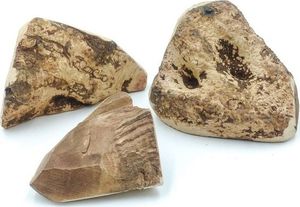 4DOGS GRYZAK L z korzenia wrzośca 2