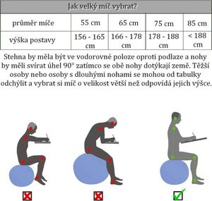 Movit Piłka gimnastyczna z pompką, 75 cm, niebieska 5