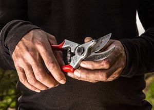 Sekator Felco 4 Classic nożycowy 3