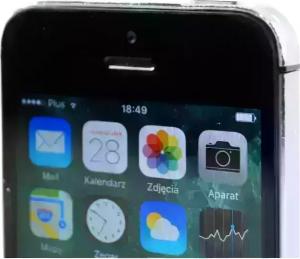 Smartfon Apple iPhone 5s 4