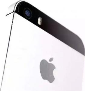 Smartfon Apple iPhone 5s 6