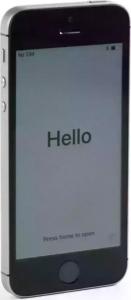 Smartfon Apple iPhone SE 2/64GB Szary Klasa PR 1