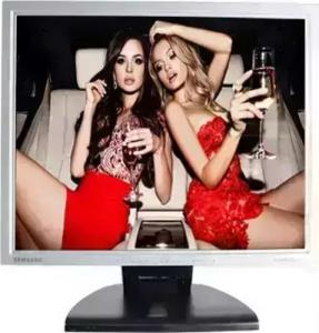 Monitor Samsung SyncMaster 192N (213-28661) 1