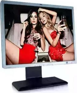Monitor HP LP2065 (EF227A4) 1