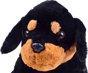 Sunkid Piesek pluszowy szczeniak przytulanka 45cm ZA3032 3