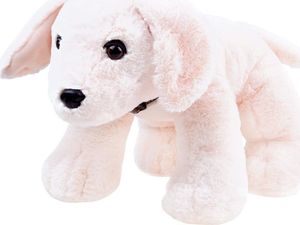 Sunkid Piesek pluszowy szczeniak przytulanka 45cm ZA3032 4