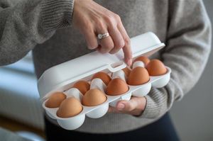 Koziol Pojemnik na jajka Eggs To Go biały 3179525 3