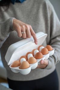 Koziol Pojemnik na jajka Eggs To Go biały 3179525 4