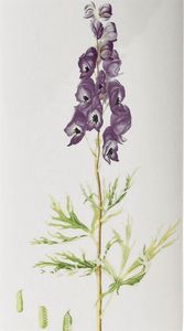 Nawilżacz powietrza Affek Design Fancy Home Stones Biały 5