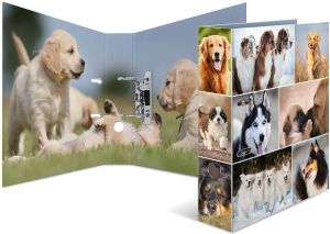 Segregator Herma dźwigniowy A4 70mm  (7165) 2