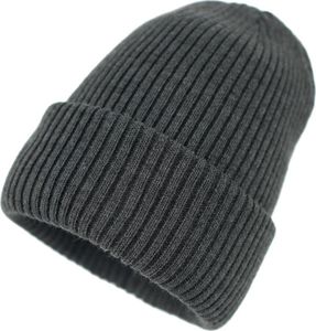 Art of Polo Polska czapka Zmarznięty streetowiec Nie dotyczy 3