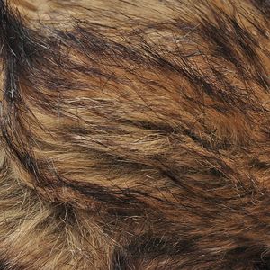 Art of Polo Włochata czapka Nie dotyczy 4