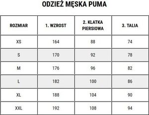 Puma Spodnie męskie Puma ESS Logo Pants FL ciemnoszare 586714 07 S 3