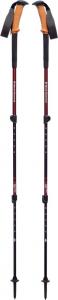 Black Diamond Kije trekkingowe Trail Ergo Cork W'S 1