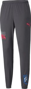 Puma Spodnie męskie Puma Neymar Jr Futebol Training Pant szare 605600 07 S 1