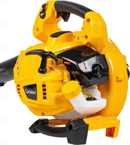 Cedrus Odkurzacz do liści DM03 3