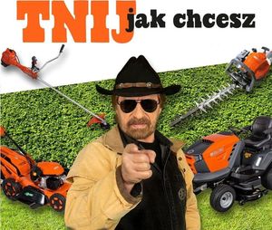 Piła łańcuchowa Oleo-Mac PPH250 1.2 KM 25.4 cm3 25 cm 6