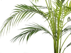 Shumee Sztuczna roślina doniczkowa 124 cm ARECA PALM 2