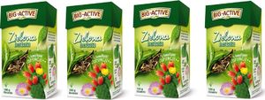 Big Active HERBATA LIŚCIASTA ZIELONA Z OPUNCJĄ BIG-ACTIVE 100G 56867922 2