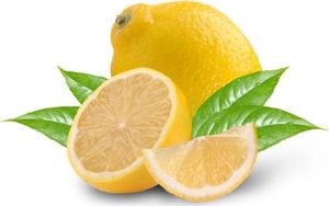 Teekanne GREEN TEA LEMON 3981441 3