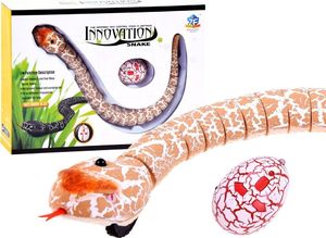 Jokomisiada Zdalnie Sterowany Wąż Na Pilota  (RC0189 PO) 2