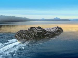 Jokomisiada Zdalnie sterowana Łódka Krokodyl 2w1 RC0576 10