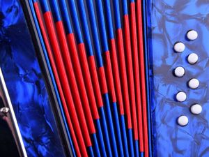 Jokomisiada Duży muzyczny akordeon dla dzieci harmonia IN0148 4