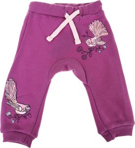 Pepco PEPCO Sportowe spodnie niemowlęce 74 Fioletowy 1