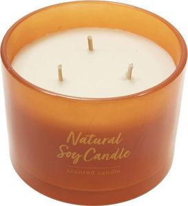 Pepco PEPCO Świeca zapachowa, 11 x 8.5 cm 3