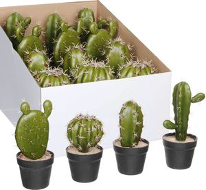 Tajemniczy ogród Kaktus w doniczce 4 wzory 1
