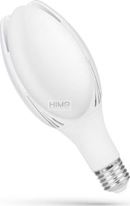 Spectrum LED LED PARISIENNE 50W E-27 IP20 NW SPECTRUM himp 1